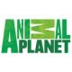 Animal Planet канал онлайн